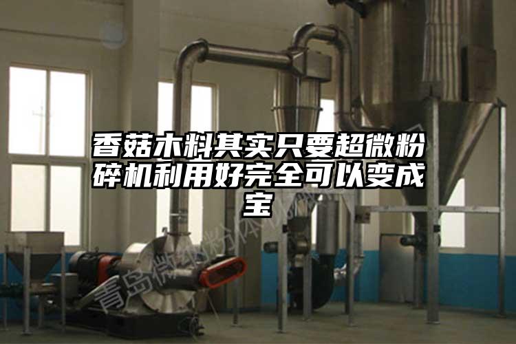 香菇木料其實只要超微粉碎機利用好完全可以變成寶